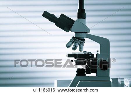 Stock Photograph - Light microscope in lab.. Fotosearch