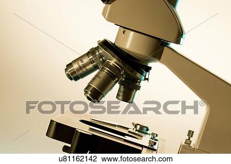 Light microscope stage and lenses. View Large Photo Image Stock Image - Light microscope stage and lenses.. Fotosearch
