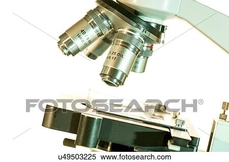 Light microscope stage and lenses. View Large Photo Image Stock Photography - Light microscope stage and lenses.. Fotosearch