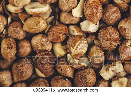 Macro shot of ripe hazelnuts as background. View Large Photo Image Stock Photography - Macro shot of ripe hazelnuts as background.. Fotosearch