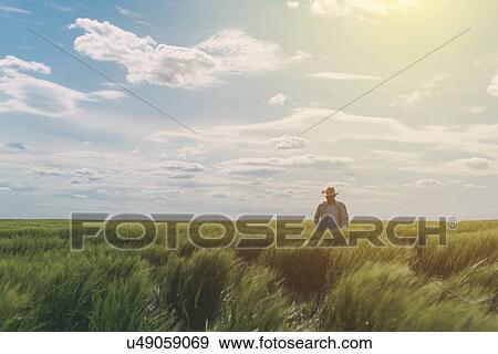 Male farmer walking through a green wheat field. View Large Photo Image Stock Photo - Male farmer walking through a green wheat field.. Fotosearch