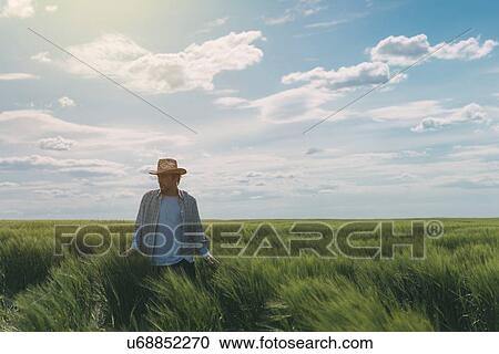 Male farmer walking through wheat field. View Large Photo Image Stock Image - Male farmer walking through wheat field.. Fotosearch