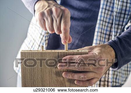 Stock Photograph - Man assembling furniture at home, hand with dowel pins.. Fotosearch