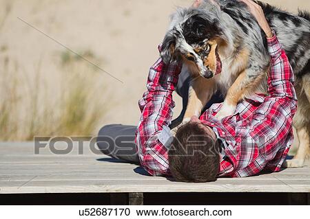 Stock Image - Man lying on beach boardwalk playing with dog. Fotosearch