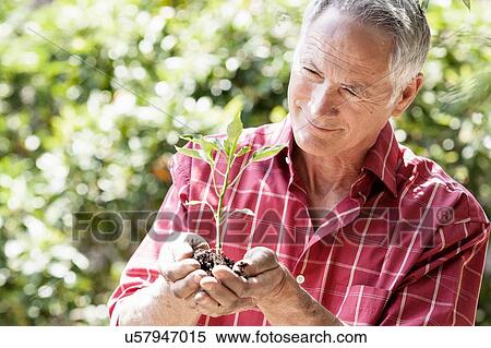 Man planting seedling View Large Photo Image Stock Photography - Man planting seedling. Fotosearch