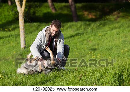 Man playing with dog in park grass View Large Photo Image Stock Photography - Man playing with dog in park grass. Fotosearch
