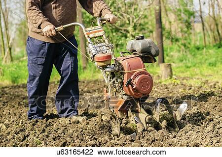 Man preparing garden soil with cultivator. View Large Photo Image Stock Image - Man preparing garden soil with cultivator.. Fotosearch