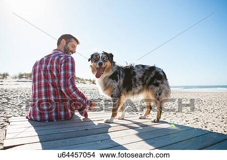 Picture - Man sitting on beach boardwalk with dog. Fotosearch