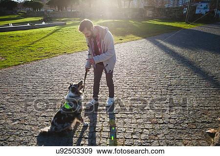 Stock Photo - Man training dog to sit in park. Fotosearch