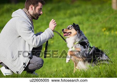 Stock Photography - Man training dog to sit in park. Fotosearch