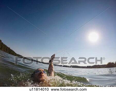Stock Image - Mature man swimming backstroke across lake, close up. Fotosearch