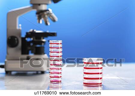 Microbiology research. View Large Photo Image Stock Image - Microbiology research.. Fotosearch