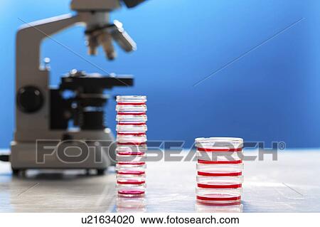 Stock Image - Microbiology research.. Fotosearch