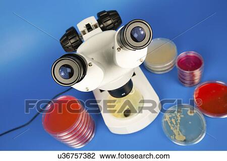 Stock Image - Microbiology research.. Fotosearch