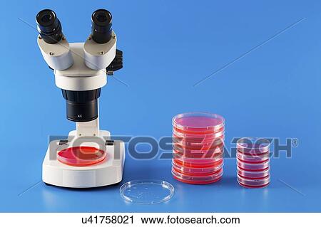 Stock Image - Microbiology research.. Fotosearch