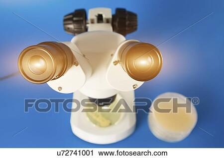 Stock Image - Microbiology research.. Fotosearch