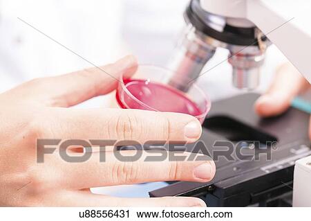 Stock Image - Microbiology research.. Fotosearch