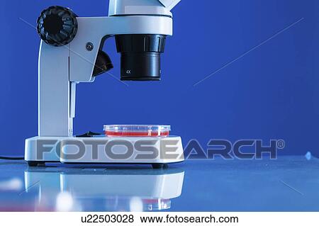 Stock Photo - Microbiology research.. Fotosearch