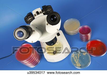 Stock Photo - Microbiology research.. Fotosearch