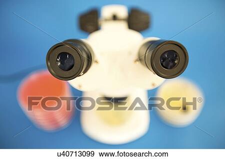 Microbiology research. View Large Photo Image Stock Photo - Microbiology research.. Fotosearch