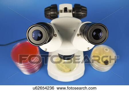 Stock Photograph - Microbiology research.. Fotosearch