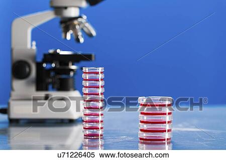 Stock Photography - Microbiology research.. Fotosearch