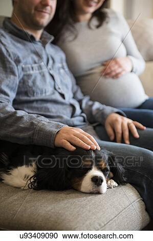 Stock Image - Mid adult couple sitting on sofa and stroking puppy. Fotosearch