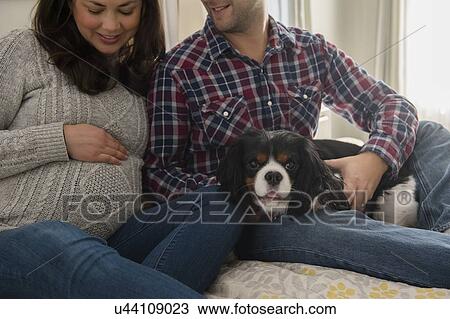 Stock Image - Mid adult couple sitting on sofa with puppy. Fotosearch
