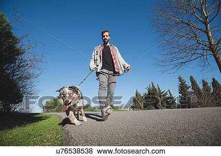 Stock Photo - Mid adult man walking dog in park, low angle view. Fotosearch