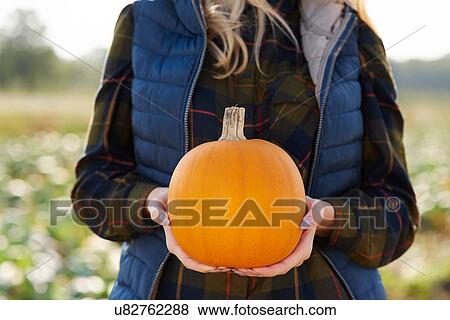 Mid section of woman holding pumpkin in pumpkin patch field View Large Photo Image Stock Photo - Mid section of woman holding pumpkin in pumpkin patch field. Fotosearch