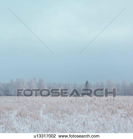 Stock Image - Misty field, Ural, Sverdlovsk, Russia. Fotosearch