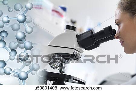 MODEL RELEASED. Scientist viewing a sample down a light microscope with a molecular model to illustrate research. View Large Photo Image Stock Photo - MODEL RELEASED. Scientist viewing a sample down a light microscope with a molecular model to illustrate research.. Fotosearch