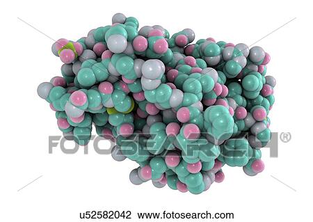 Stock Image - Molecular model of metalloproteinase snake venom from an Eastern diamondback rattlesnake (Crotalus adamanteus).. Fotosearch