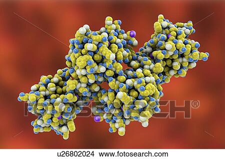 Molecular model of the snake venom toxin convulxin, found in the tropical rattlesnake (Crotalus durissus terrificus). This toxin causes blood clot formation. View Large Photo Image Picture - Molecular model of the snake venom toxin convulxin, found in the tropical rattlesnake (Crotalus durissus terrificus). This toxin causes blood clot formation.. Fotosearch