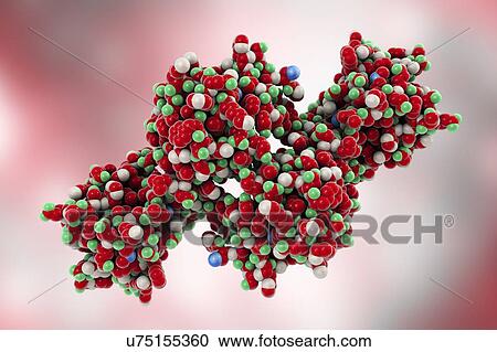 Stock Image - Molecular model of the snake venom toxin convulxin, found in the tropical rattlesnake (Crotalus durissus terrificus). This toxin causes blood clot formation.. Fotosearch