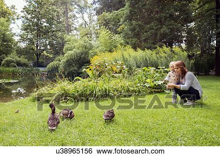 Stock Photograph - Mother and toddler daughter watching ducks in park. Fotosearch