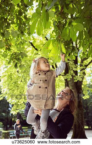 Mother holding up toddler daughter to touch leaves in park View Large Photo Image Stock Image - Mother holding up toddler daughter to touch leaves in park. Fotosearch