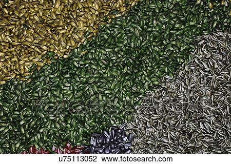 Stock Image - Multicolored sunflower seeds. The different colours are due to different chemical treatments.. Fotosearch