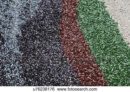 Stock Photograph - Multicolored sunflower seeds. The different colours are due to different chemical treatments.. Fotosearch