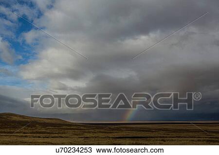 Stock Image - Ngorogoro Crater, Tanzania. Fotosearch