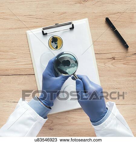 Stock Image - Overhead view of laboratory technician analysing petri dish.. Fotosearch