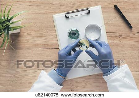 Stock Photography - Overhead view of laboratory technician analysing petri dish.. Fotosearch