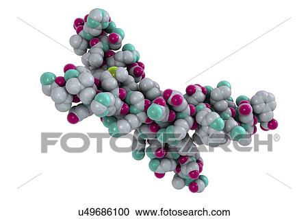 Stock Image - Parathyroid hormone molecule. Computer model showing the structure of parathyroid hormone (PTH), or parathormone. PTH is secreted by the parathyroid glands in the neck. It acts to regulate the concentration of calcium and phosphorus in the blood.. Fotosearch