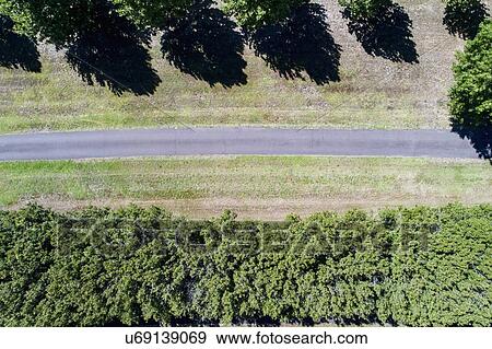 Path between trees View Large Photo Image Stock Photo - Path between trees. Fotosearch