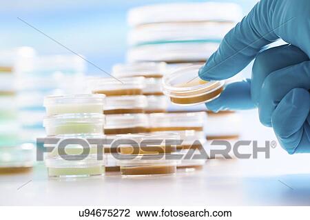 Pathology laboratory. View Large Photo Image Stock Image - Pathology laboratory.. Fotosearch