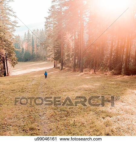 Person in forest, Ural, Sverdlovsk, Russia View Large Photo Image Stock Image - Person in forest, Ural, Sverdlovsk, Russia. Fotosearch