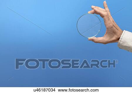 Petri dish. View Large Photo Image Picture - Petri dish.. Fotosearch