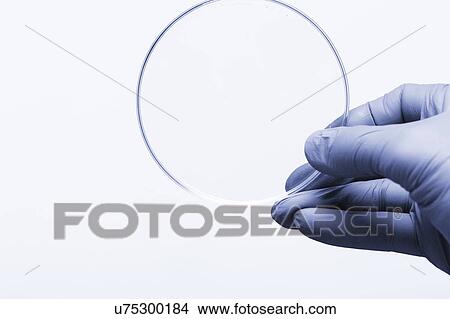 Picture - Petri dish.. Fotosearch