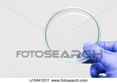 Petri dish. View Large Photo Image Stock Photo - Petri dish.. Fotosearch