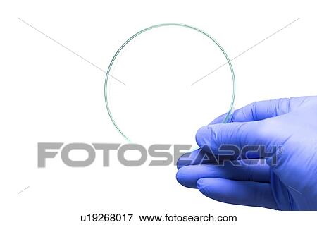 Stock Photo - Petri dish.. Fotosearch